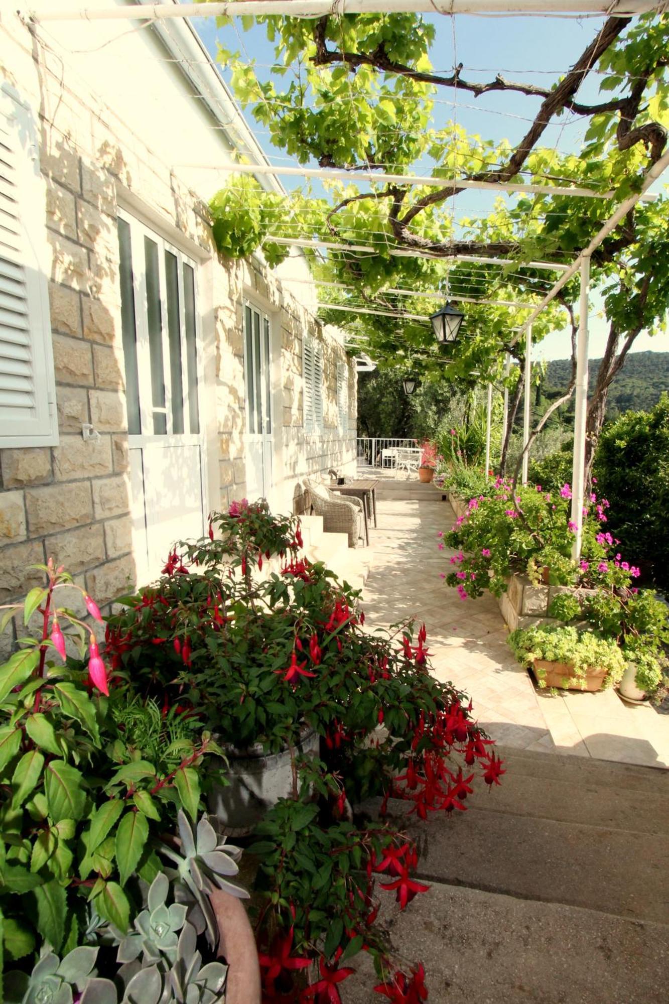Apartments Cervelin Lopud Luaran gambar